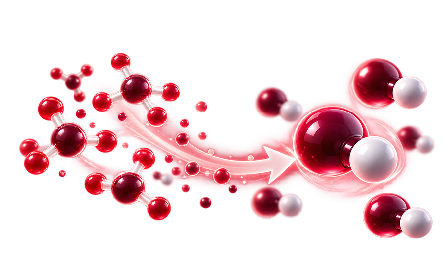 Nitrates to Nitric Oxide